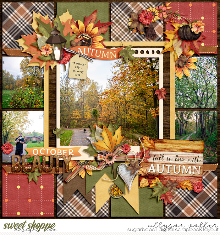 allyanne-Fading-Into-Fall-WM.jpg