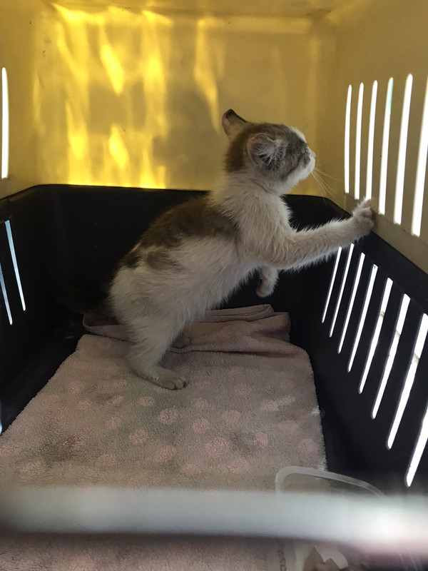 5CEF3746-E5EE-43DE-9A29-9C3CAD115464