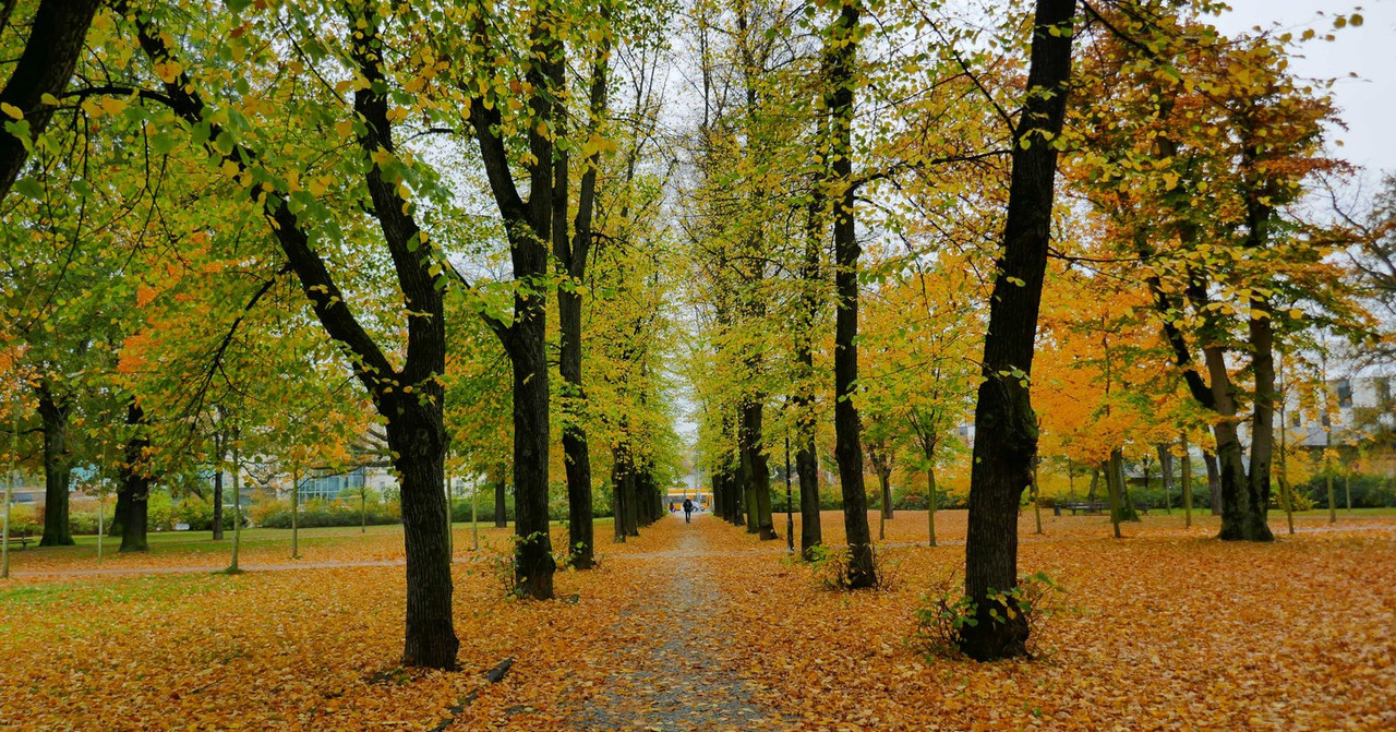 Bild: https://i.postimg.cc/fT4BPmYd/P1240393.jpg