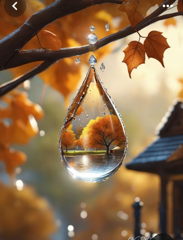 Screenshot_20231207_200754_Pinterest