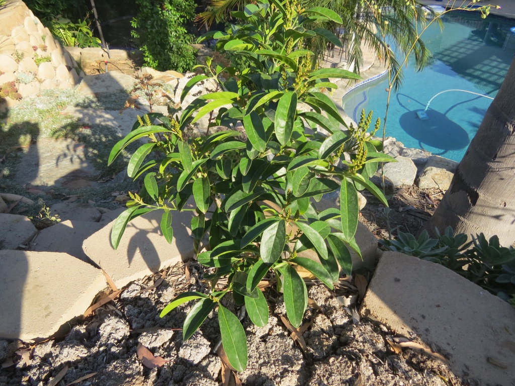 thumb_IMG_4454_1024