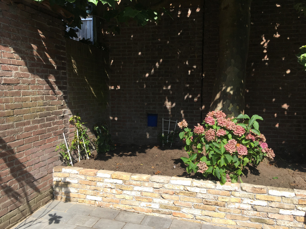 BFFD03C0-B578-40E8-9733-F69563C2B11F