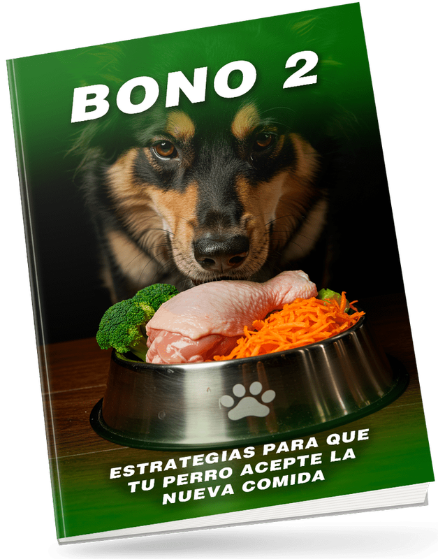 Bono 2