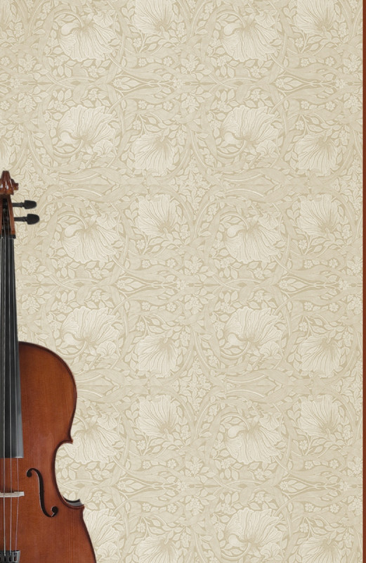 smirnov-violonchel-2016-page-0001