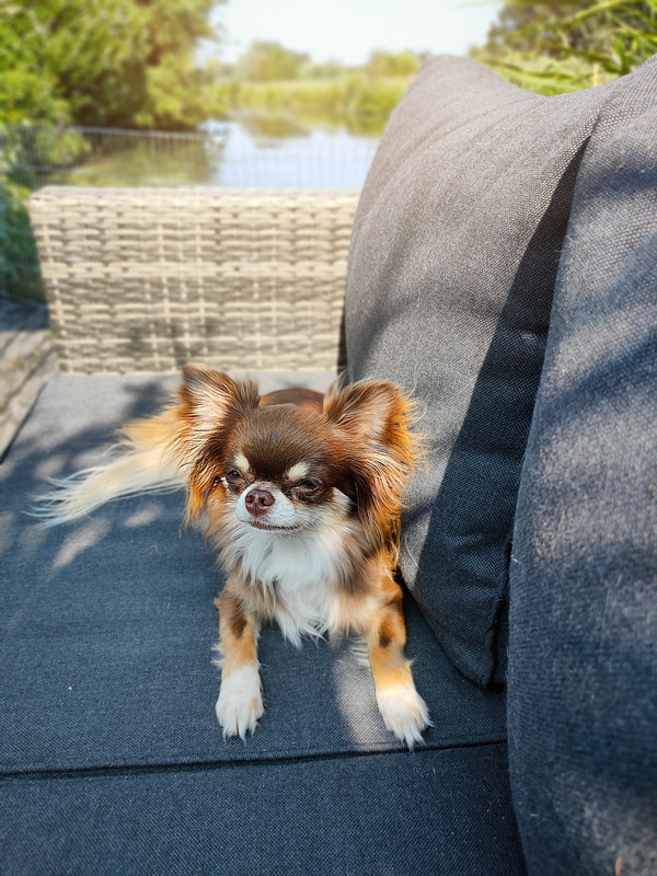 Lumii_20210720_170440207