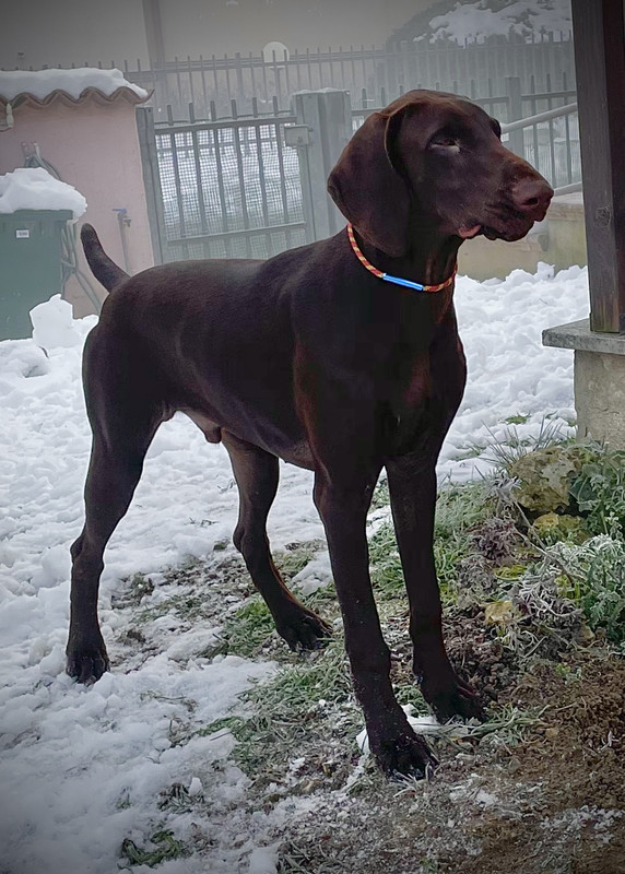 E7F8C342-268E-48ED-9495-2F3EAF2AB445