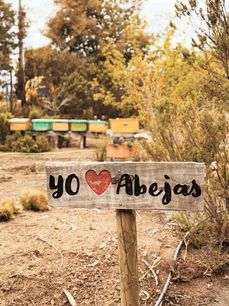 Letrero de madera Yo amo las abejas junto a las colmenas