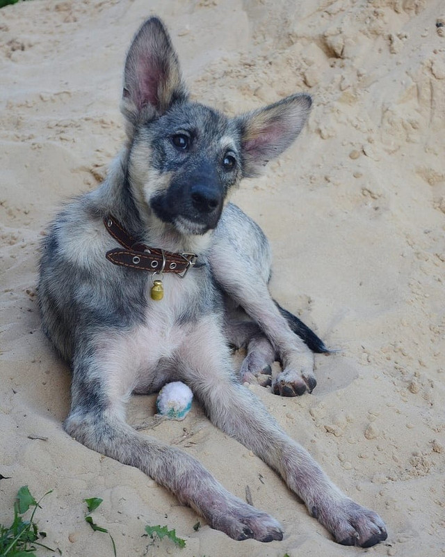 IMG_20190828_200452_919