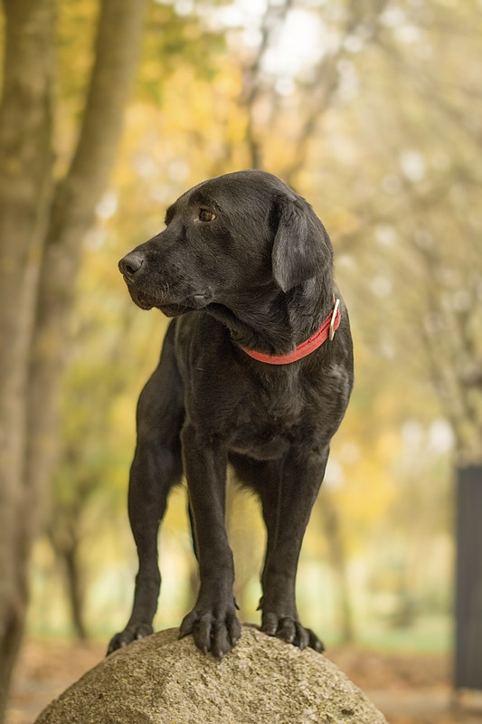 IMG-324ae52509a00ae5287f6a3fbb57cfcc-V