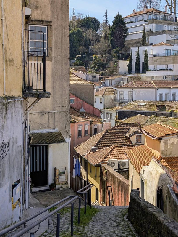 642763164 25585569907809305 6618498199134635780 n