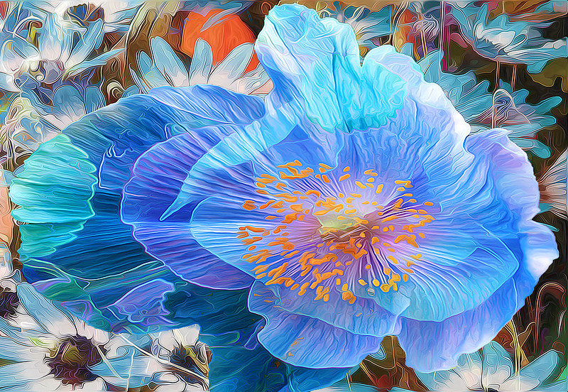blue-flower-pattern.jpg