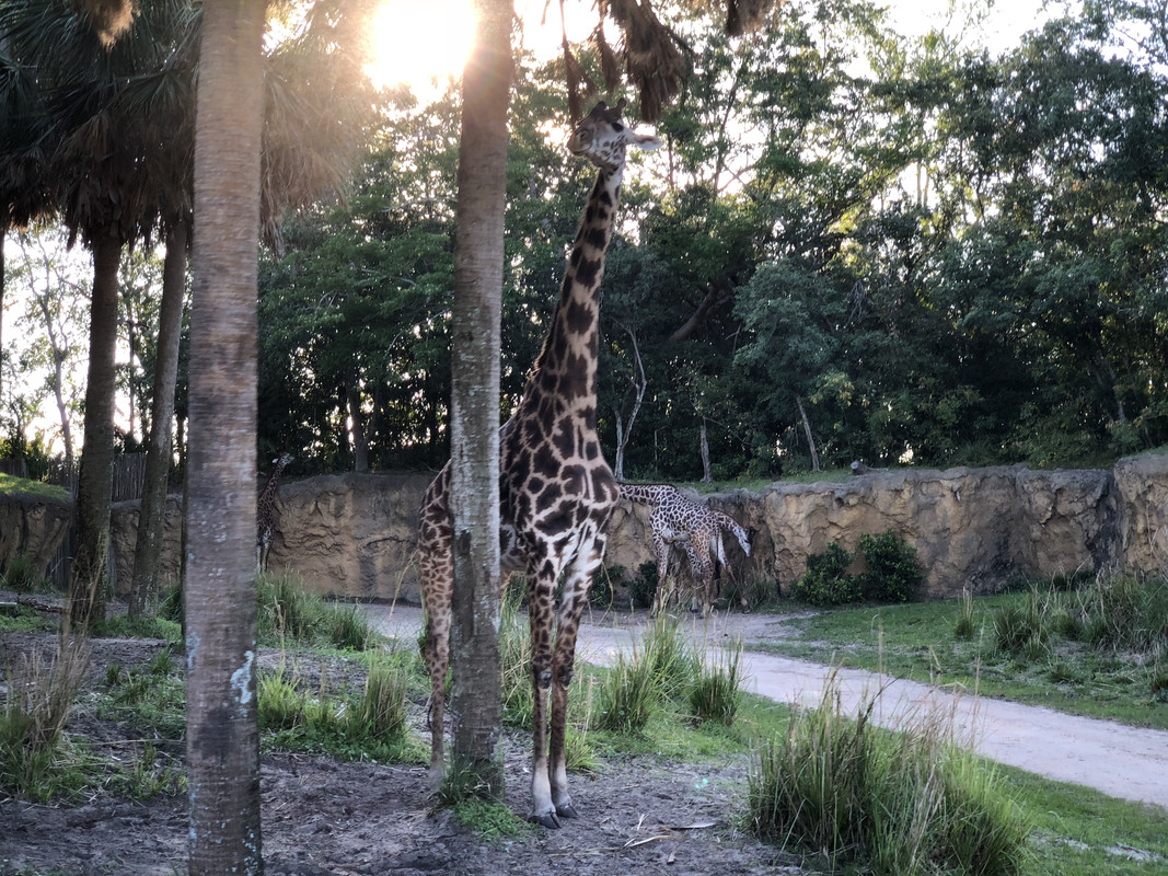 B59433F3-D2E9-4378-BDBE-640EFD397E19