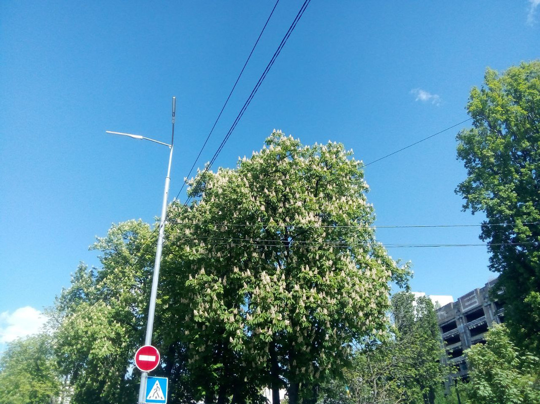 photo_2025-05-01 7.34.45 пп