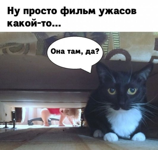 4943712-original