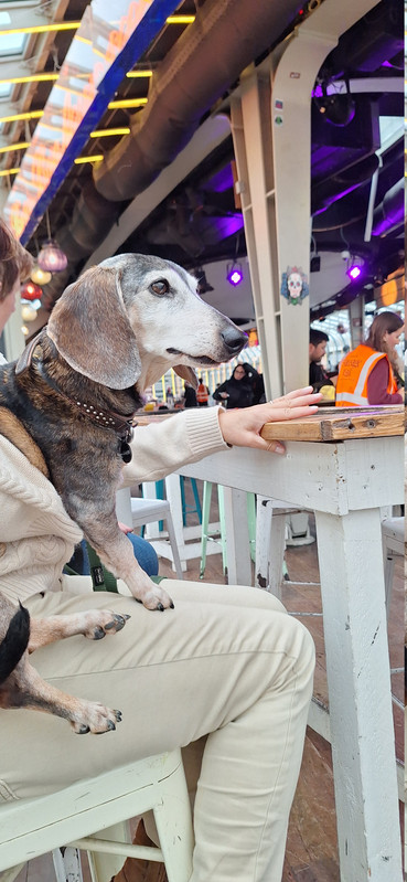 [Image: 20251116-150759.jpg]