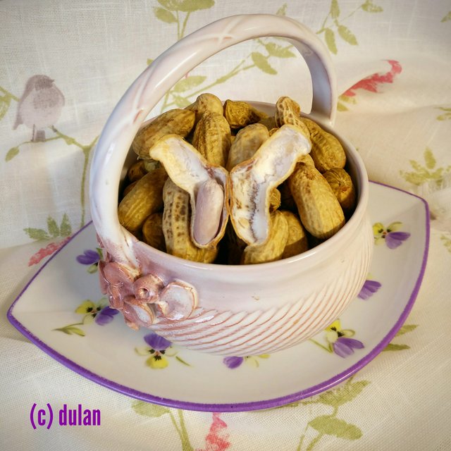 [Image: IMG-20230617-223514.jpg]