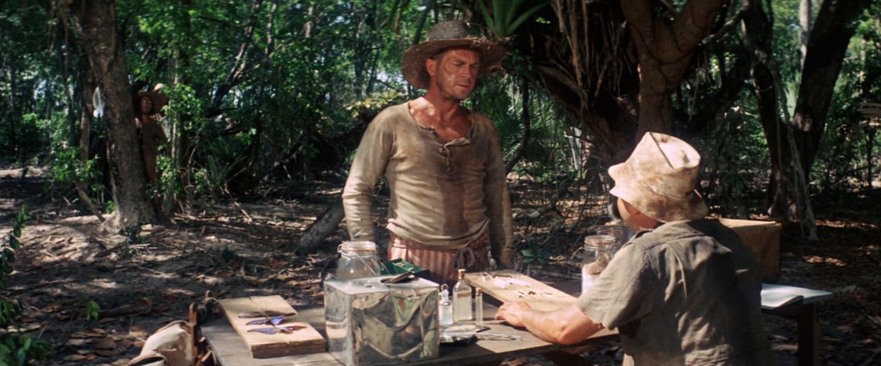 Papillon (1973) Free Movie Download Papillon (1973) Free Movie Download