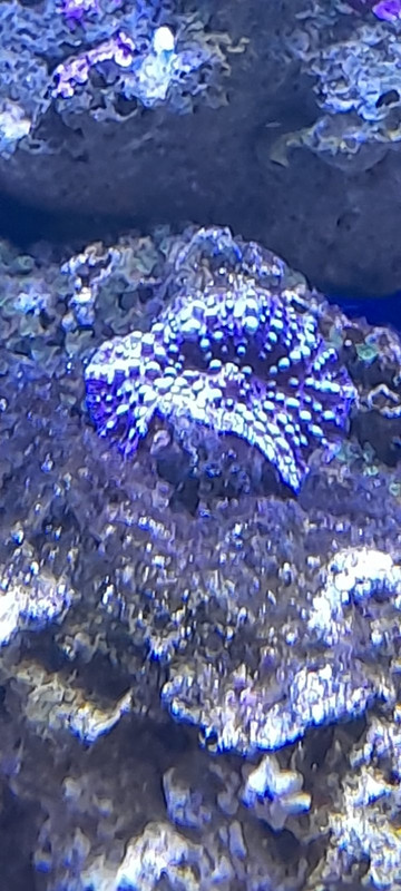 изображение_viber_2021-01-24_13-31зщ