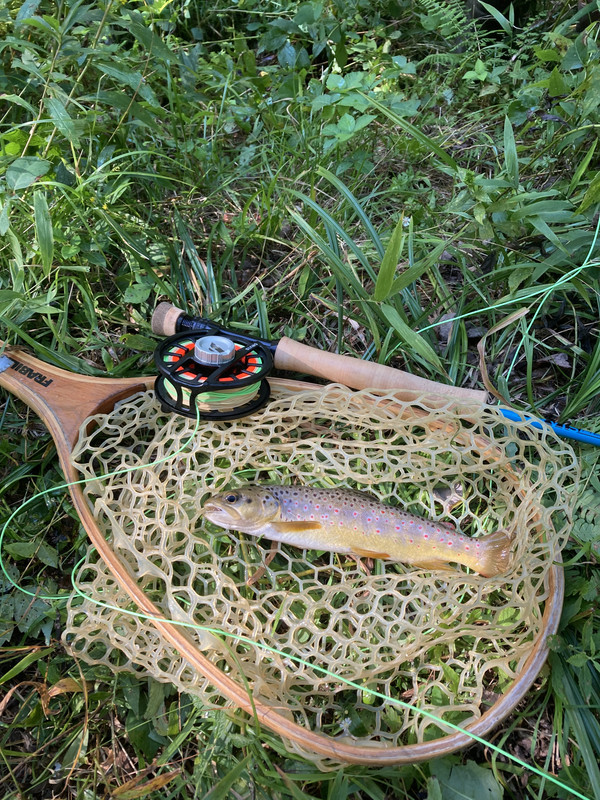 006CDB25-57F8-4B9D-AD59-AF7CD2A76A5F