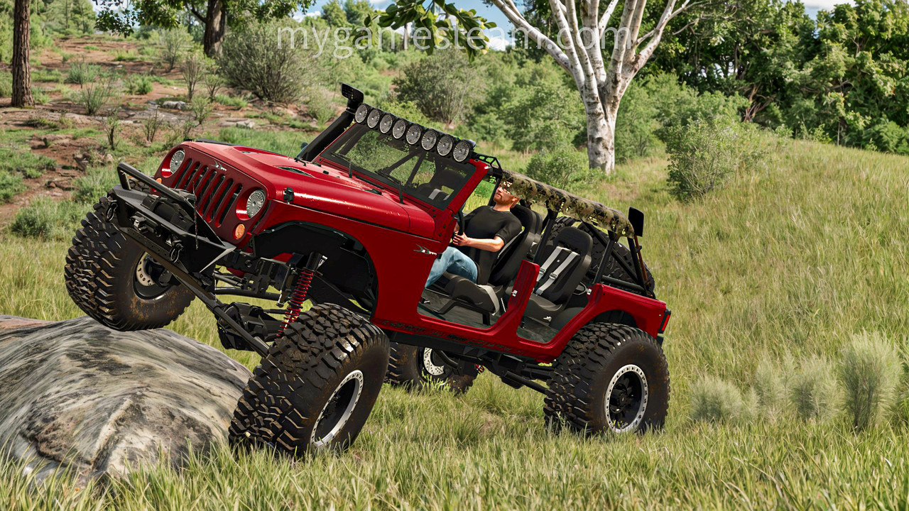 Mod Image 7