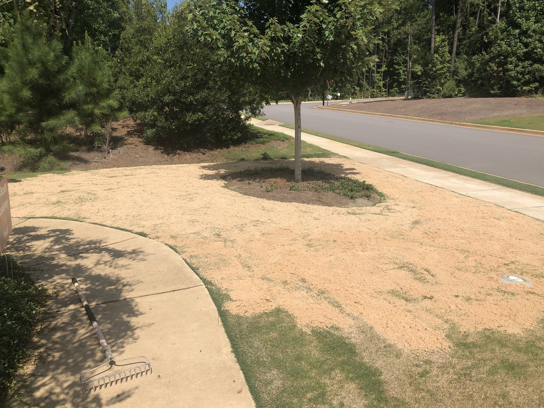 861DAF23-0940-406A-AFF2-3229B966D131