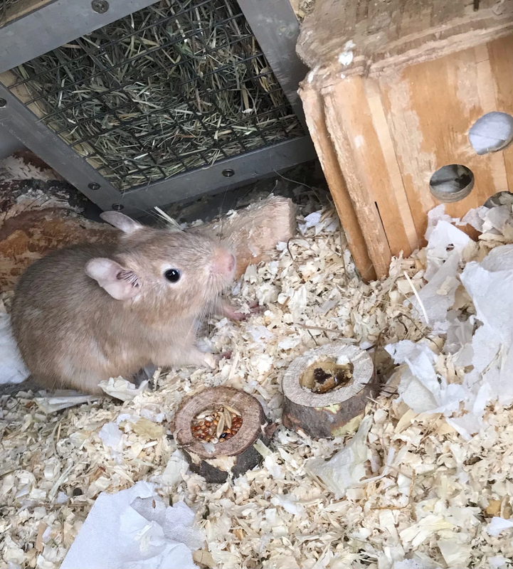 7EA7D81C-771C-4592-92D9-FA552E64D6EA