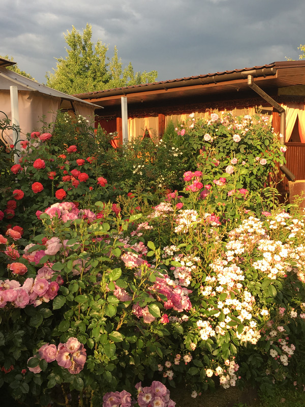 8D65E3C3-4D2B-4BEE-AA6B-867307FE4D14