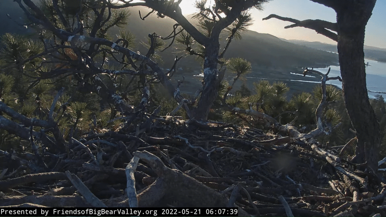 Webp.net-gifmaker (2)