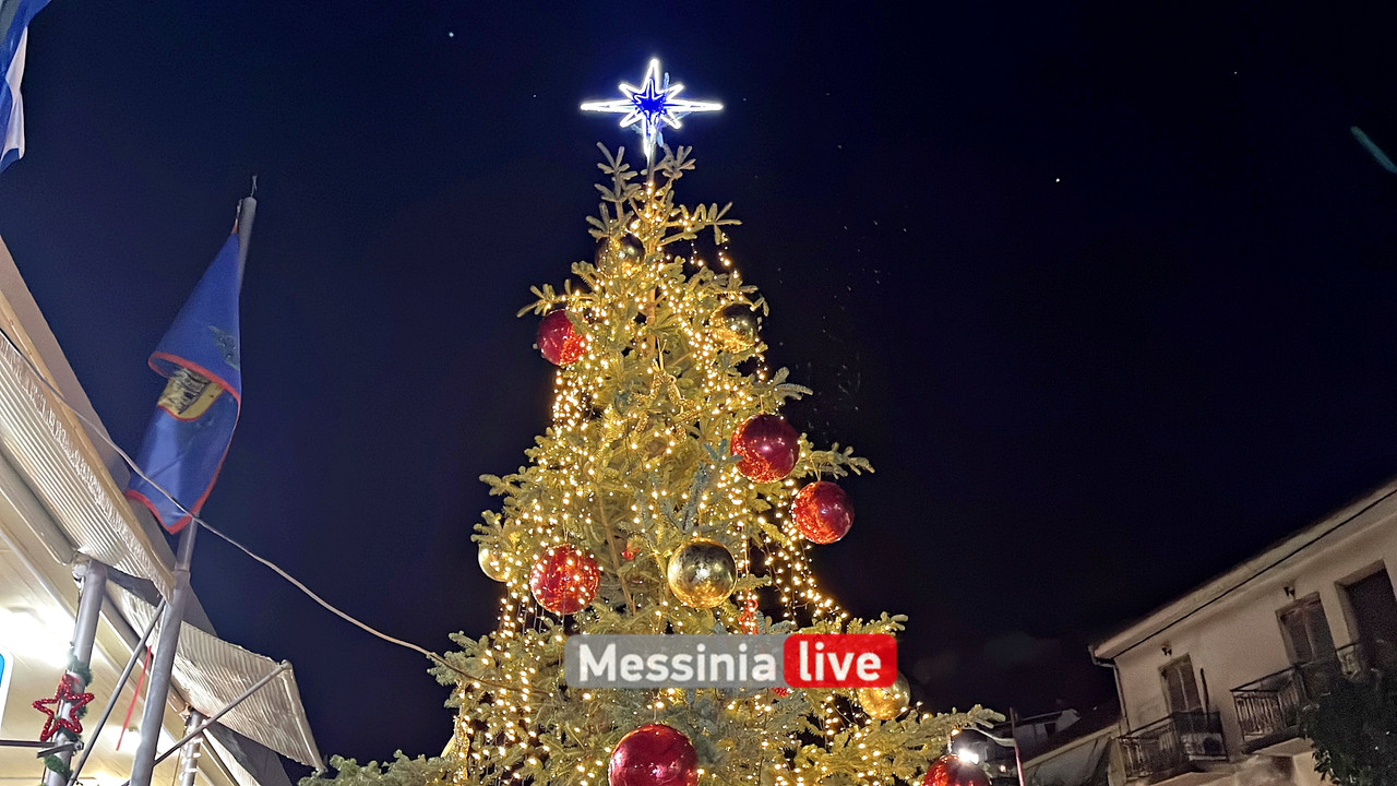 αγορα δεντρο 2024image00004