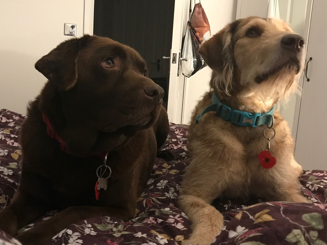 BC63FA56-559B-412D-8D70-ACCB82FA11B0