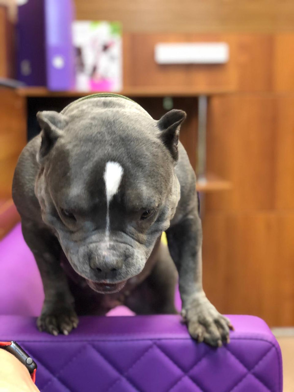 77F1B5E3-3D0F-47E6-A045-6925A7A3428C