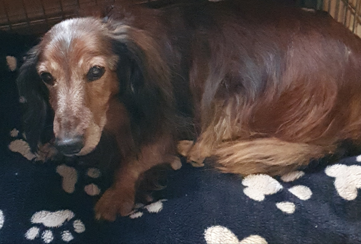 [Image: 20201229-132009.jpg]