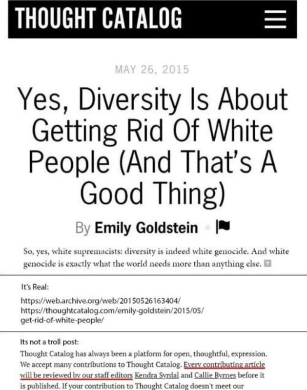 Yes-Diversity-Is-About-Getting-Rid-Of-White-People.jpg