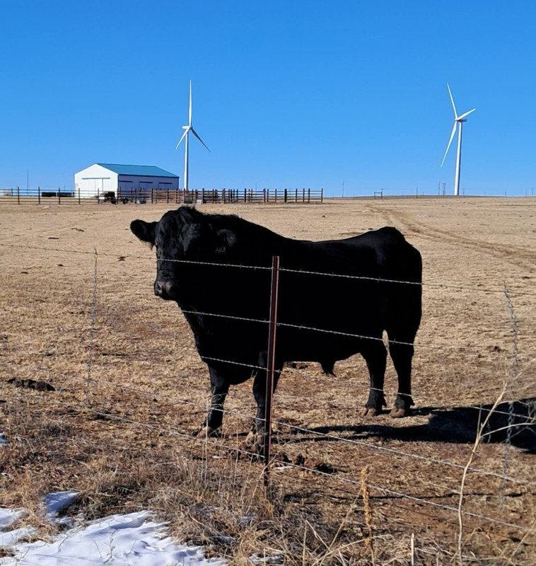 Screenshot 20251230 181054 Messenger