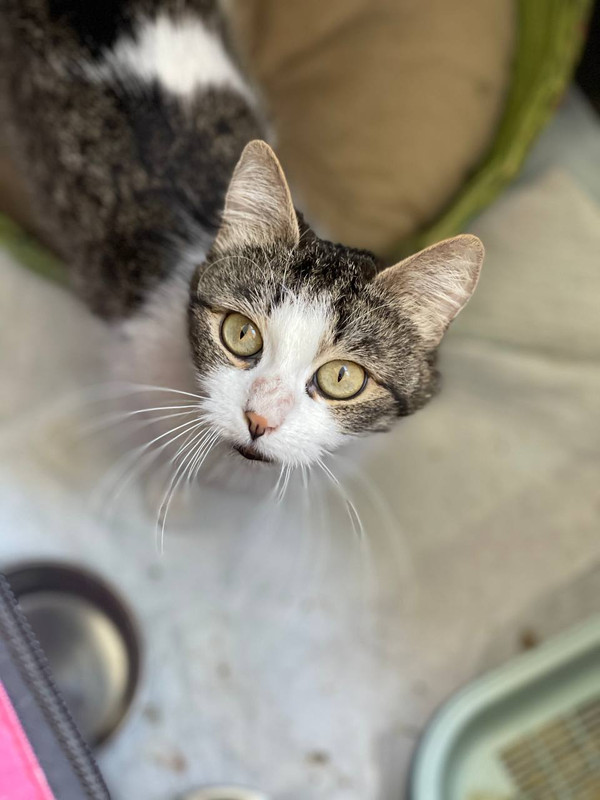 D18B0FFF-BC6A-4DC1-A1F8-E811ED339716