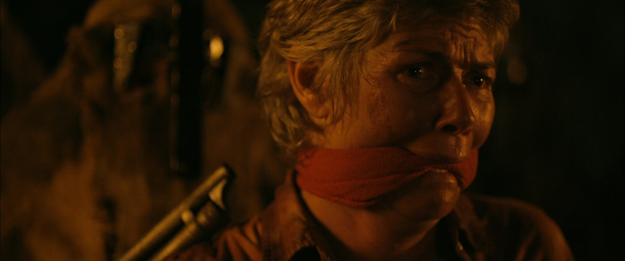 Stake Land (2010) (1080p BluRay x265 r00t)-5