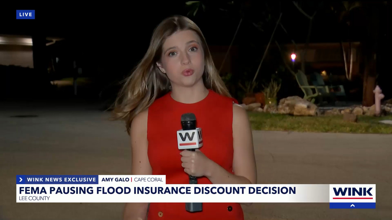 04.09 - 04.00.01 - WINK News at 11  ᴺᵉʷ. Local and regional news..ts_snapshot_06.57.721