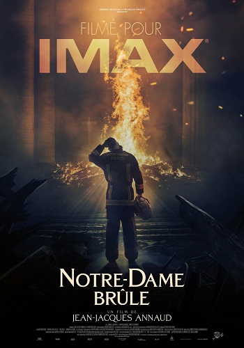 Notre-Dame Brûle (Notre-Dame On Fire) [2022][DVD R2][Spanish]