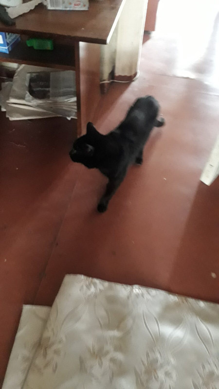 810D109B-44BA-433A-8725-B13C71CC693C