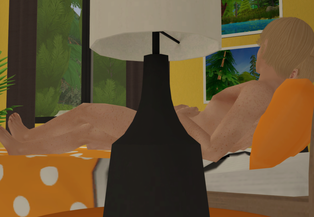 Sims2-EP9-RPC-2021-12-29-22-57-02-20