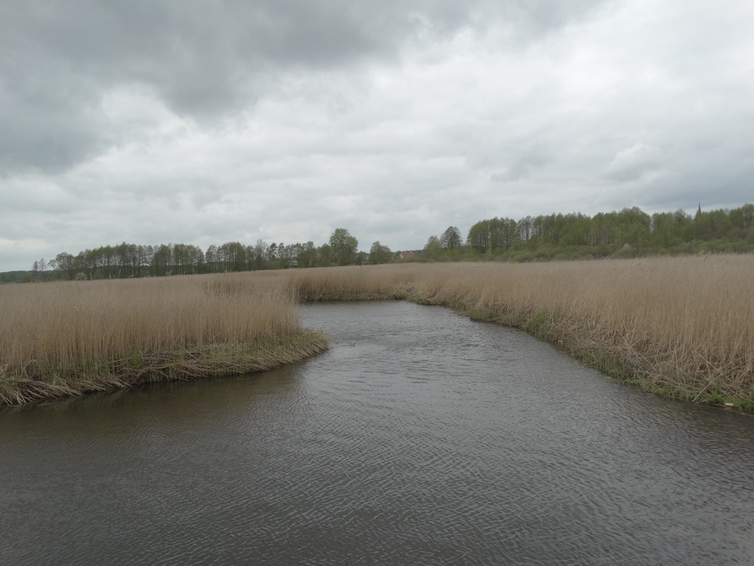 05.27 - DSC09327 (Czesio1)