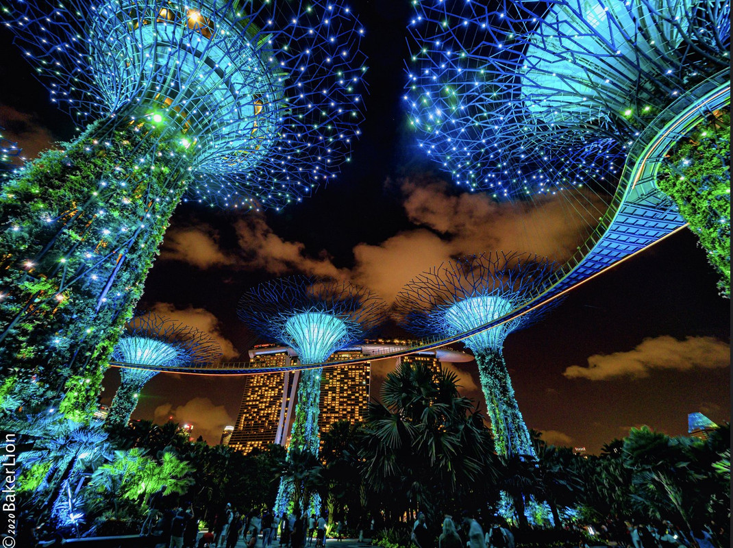 blue-supertrees-singapore-dis1.jpg
