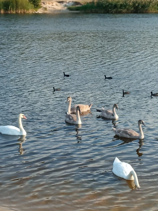 d95433b0-83a3-49c6-9da9-6b5ef19f5b44 (1)