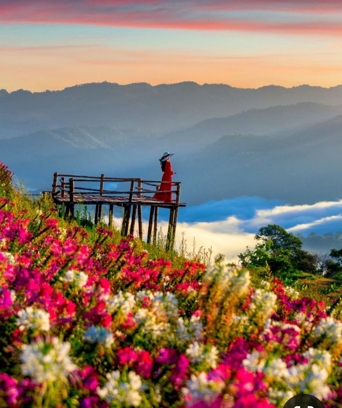 Screenshot_20230322_232841_Pinterest