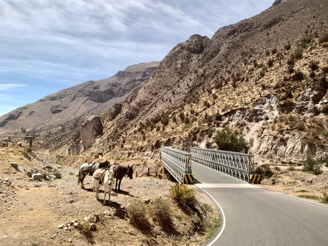 330A9644-A828-422C-AEE2-821FACD2F7B3