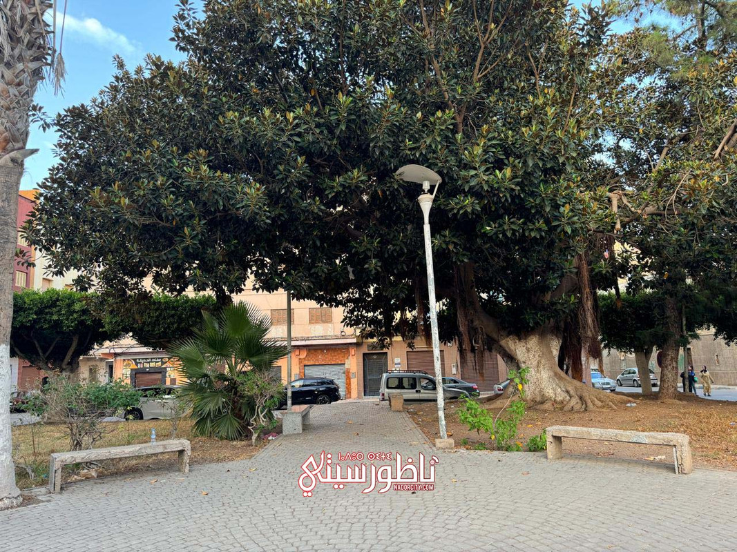 WhatsApp Image 2024-09-09 at 23.16.01 (3)