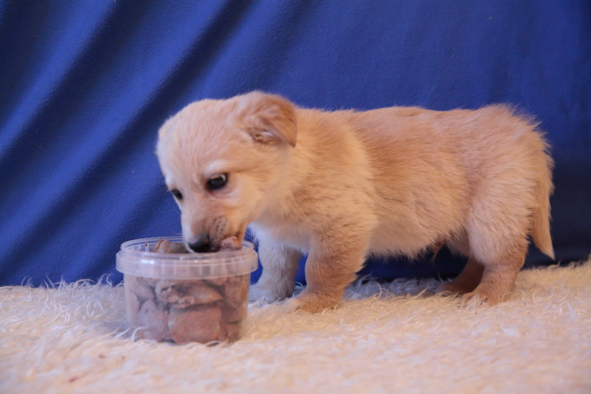 31C6F6F5-A741-4BA3-AF80-577828684175