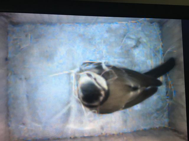 BF6DCE39-DD89-4DE3-B32D-9A563640917E