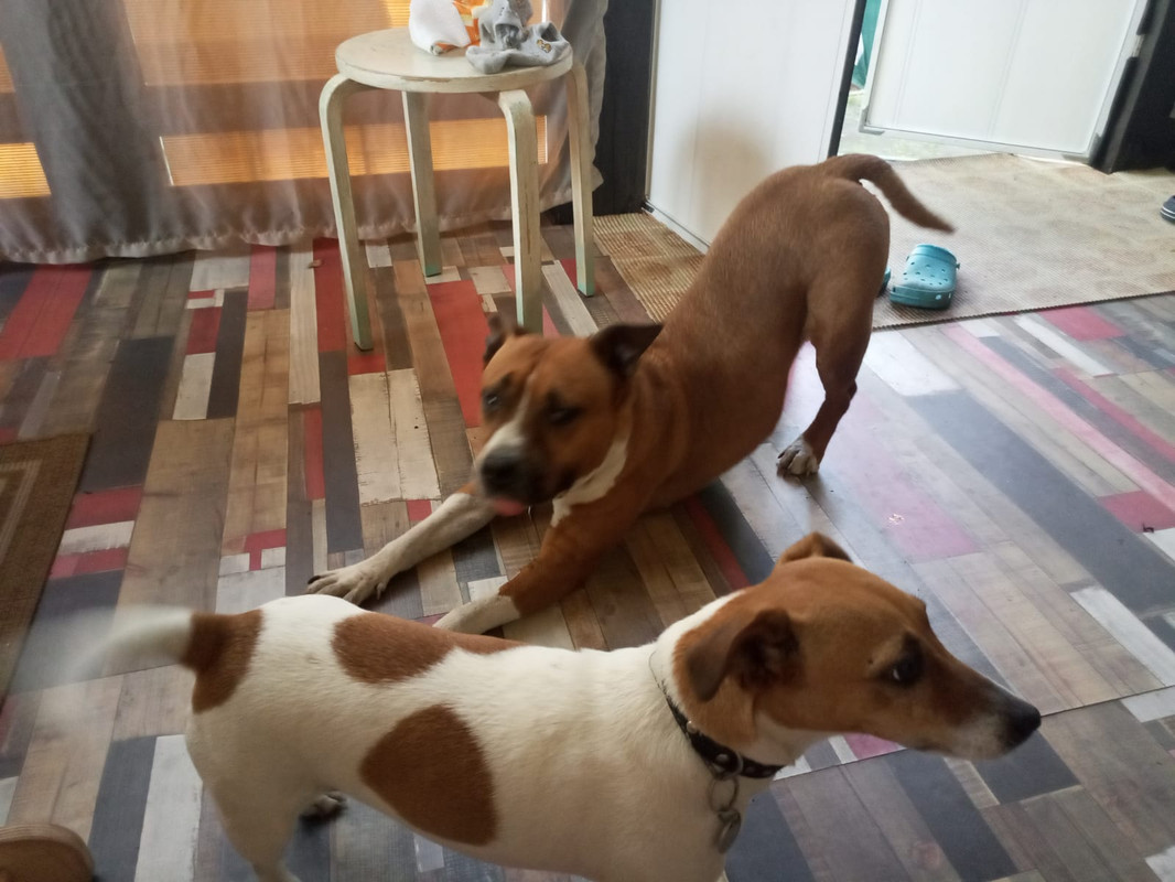 WhatsApp Image 2022-08-13 at 17.28.05 (2)