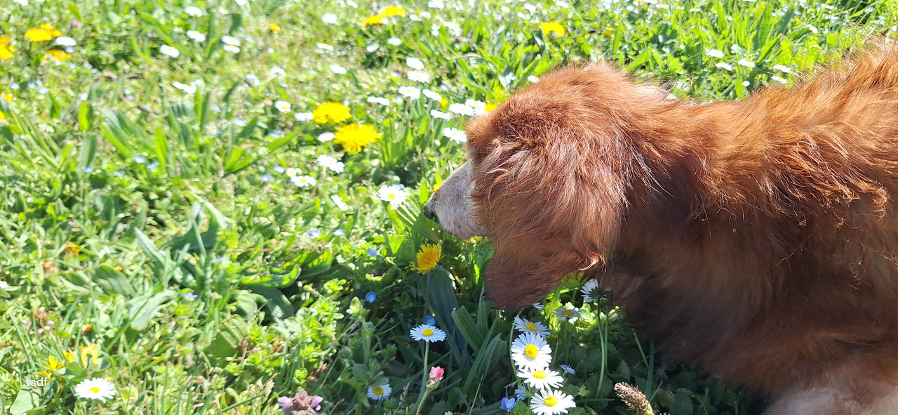 [Image: 20250408-121507.jpg]